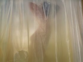 Lily Sullivan sexy - I Met a Girl (2020)