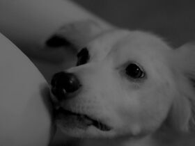 Judy Greer nude - Into the Dark s02e09 (2020)